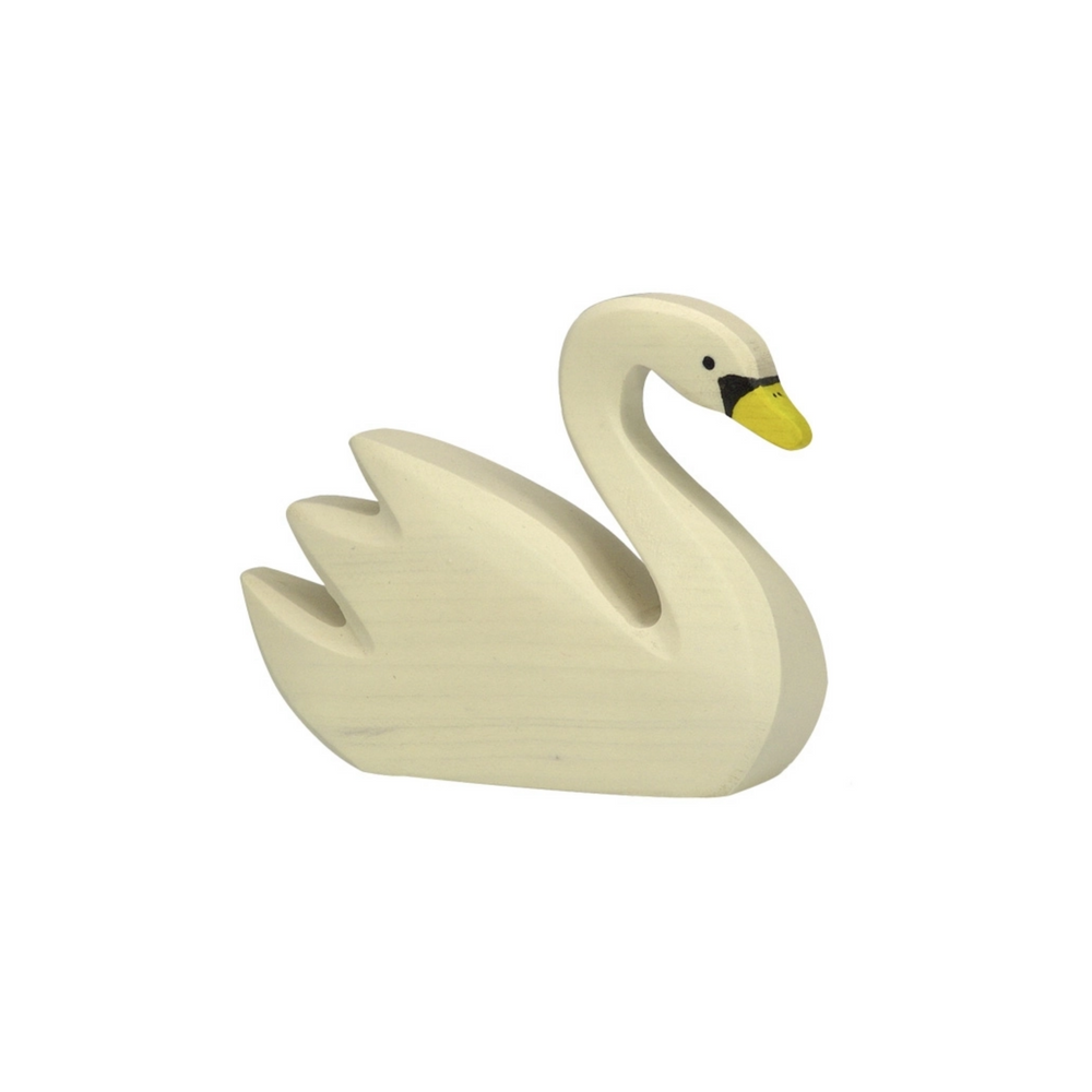 Swan, Swimming (80030)