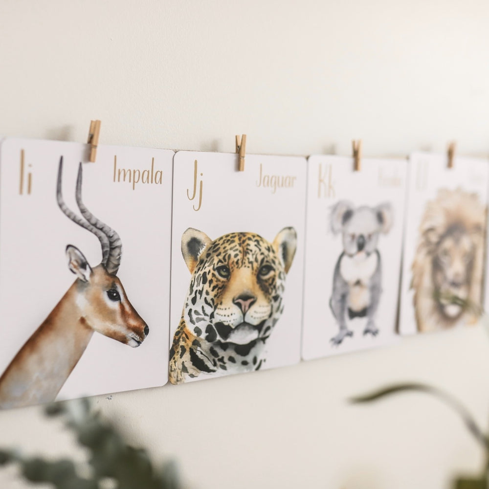 
                      
                        Alphabet Flash Cards - Animals
                      
                    